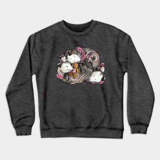 Sleeping Virginia Opossum pile Crewneck Sweatshirt